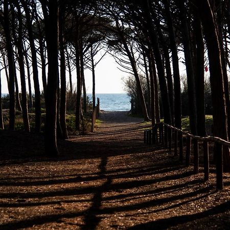 Appartamento Il Bucaniere A Marina Di Cecina Luaran gambar