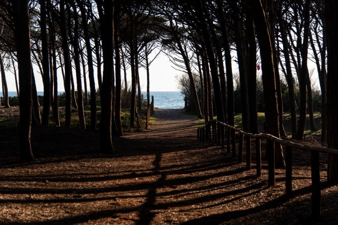 Appartamento Il Bucaniere A Marina Di Cecina Luaran gambar